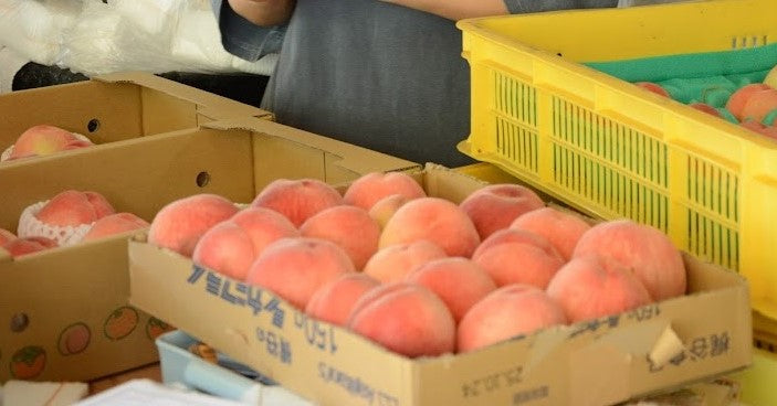 サントアンレポ-ト 2025.10