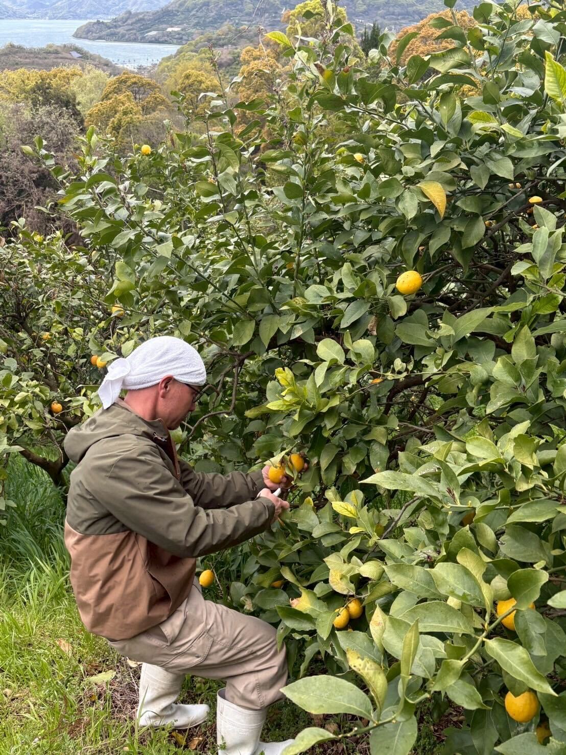 サントアンレポート 2025.06