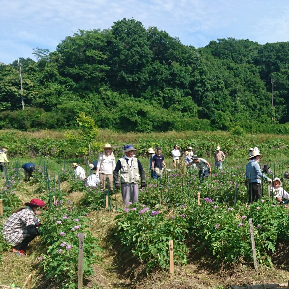 お母さんのおっぱいがおいしくなる農業（保田 茂さん 神付有機農業教室講師）